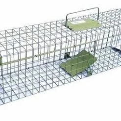 Beste Verkoop ???? Zielona Lapka 2 Deurs Martervangkooi ????