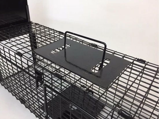 Beste deal ???? AllesTegenOngedierte.nl Opvouwbare Martervangkooi 2 Deurs ???? 5 Beste deal ???? AllesTegenOngedierte.nl Opvouwbare Martervangkooi 2 Deurs ???? - Afbeelding 5