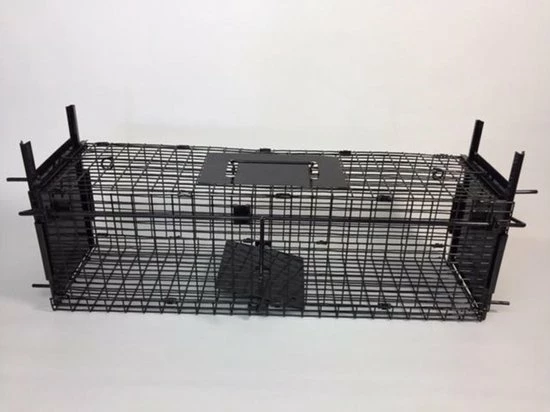 Beste deal ???? AllesTegenOngedierte.nl Opvouwbare Martervangkooi 2 Deurs ???? 1 Beste deal ???? AllesTegenOngedierte.nl Opvouwbare Martervangkooi 2 Deurs ????