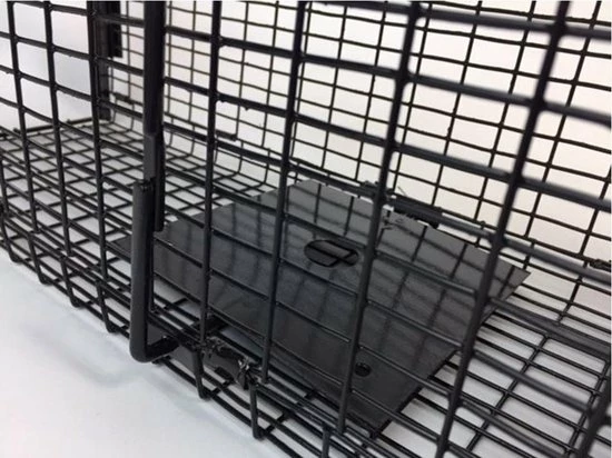 Beste deal ???? AllesTegenOngedierte.nl Opvouwbare Martervangkooi 2 Deurs ???? 4 Beste deal ???? AllesTegenOngedierte.nl Opvouwbare Martervangkooi 2 Deurs ???? - Afbeelding 4