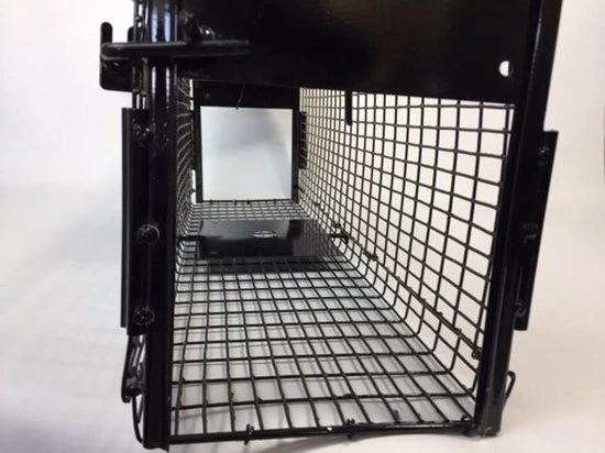 Beste deal ???? AllesTegenOngedierte.nl Opvouwbare Martervangkooi 2 Deurs ???? 7 Beste deal ???? AllesTegenOngedierte.nl Opvouwbare Martervangkooi 2 Deurs ???? - Afbeelding 7