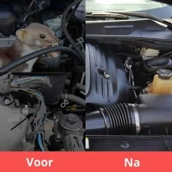 Korting ???? Carsa Marterverjager Auto 12V - Muizenverjager - Ongedierte Verjager Met Ultrasone - Steenmarter Verjager ???? -Brodit store 550x550 20
